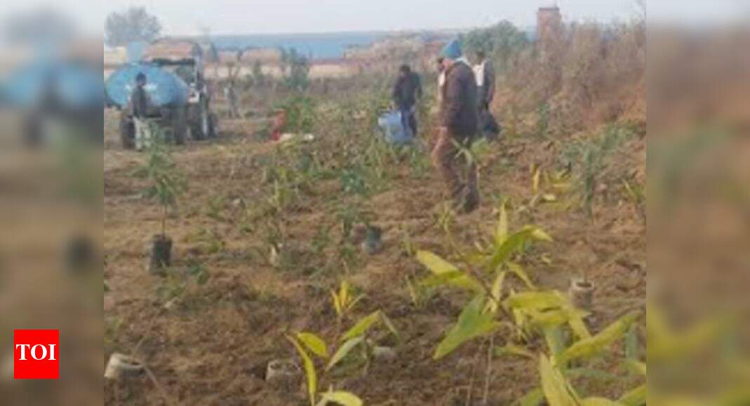 Ludhiana IRSIAS duo's plan to turn Mullanpur dumpsite into micro