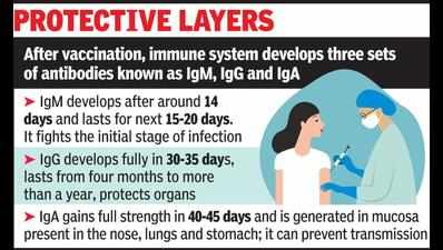 Precautions must continue even after vaccination for safety of all: Experts