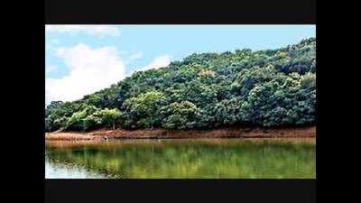 Maharashtra: ‘Work-from-nature’ option soon at MTDC resorts