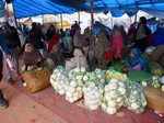 Farmers gear up for Republic Day tractor parades