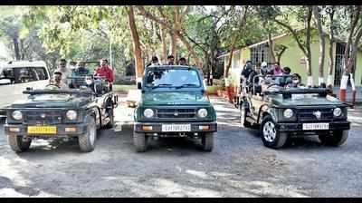New lion safari route started in Girnar wildlife sanctuary