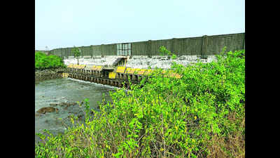 ‘Panje wetland drying as tidal inlets blocked’