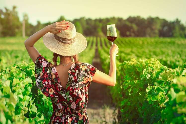 Wine Travel in France