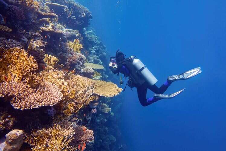 Swimming the Great Barrier Reef