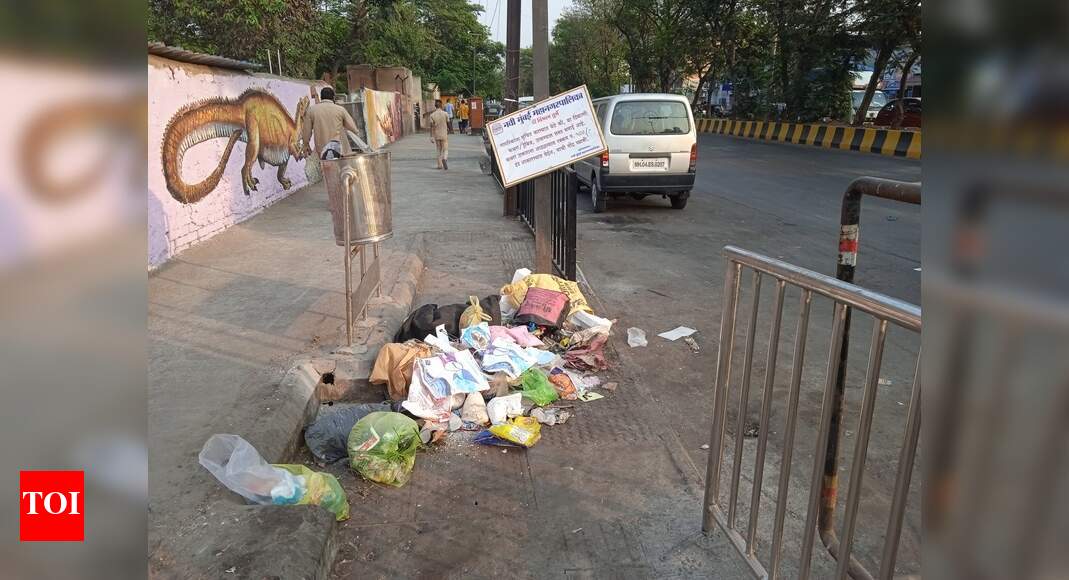 No fine garbage shine - Times of India