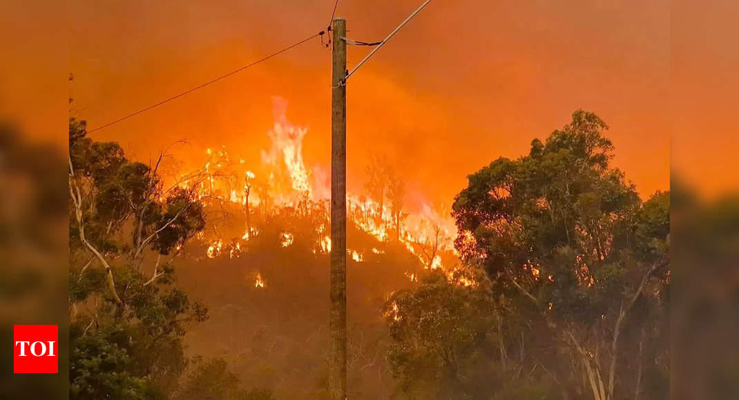 Wooroloo Bushfire: 56 homes lost, most threatened by Australian forest fire |  World News