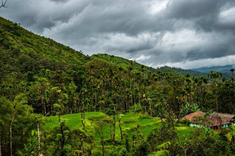 A look at India's best coffee plantations | Times of India Travel