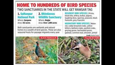 Sultanpur among 2 sanctuaries in state likely to get ‘Ramsar’ tag