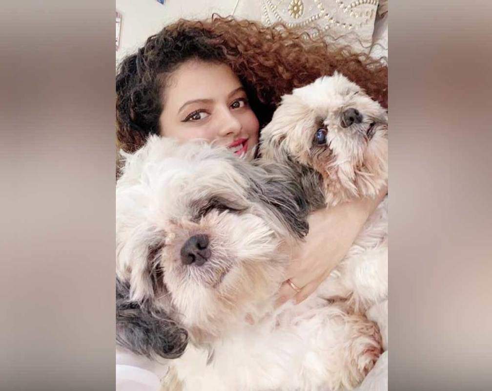 
Palak Muchhal shares the cutest moments with her dogs

