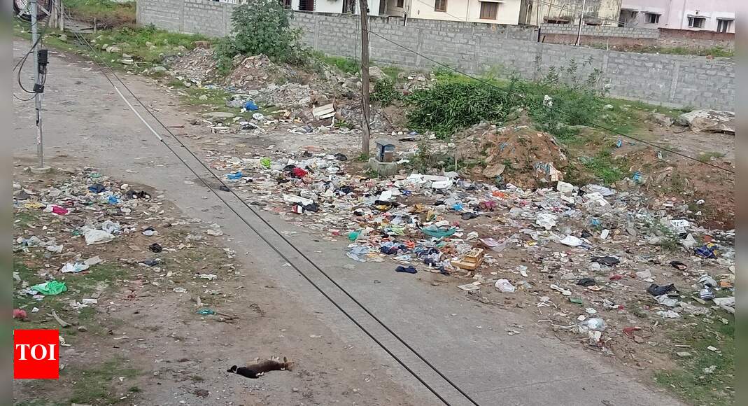 Uncared Garbage Pile - Ram Garden - Times of India