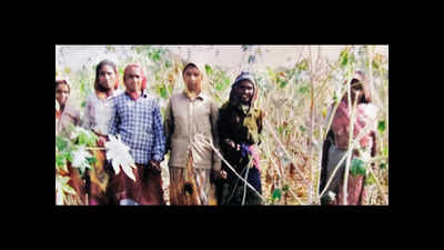 Gujarat: 51 women who turned wasteland into farmland face eviction threat