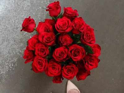 Happy Rose Day 2024: Wishes, Messages, Quotes, Images, Pictures, Facebook & WhatsApp status