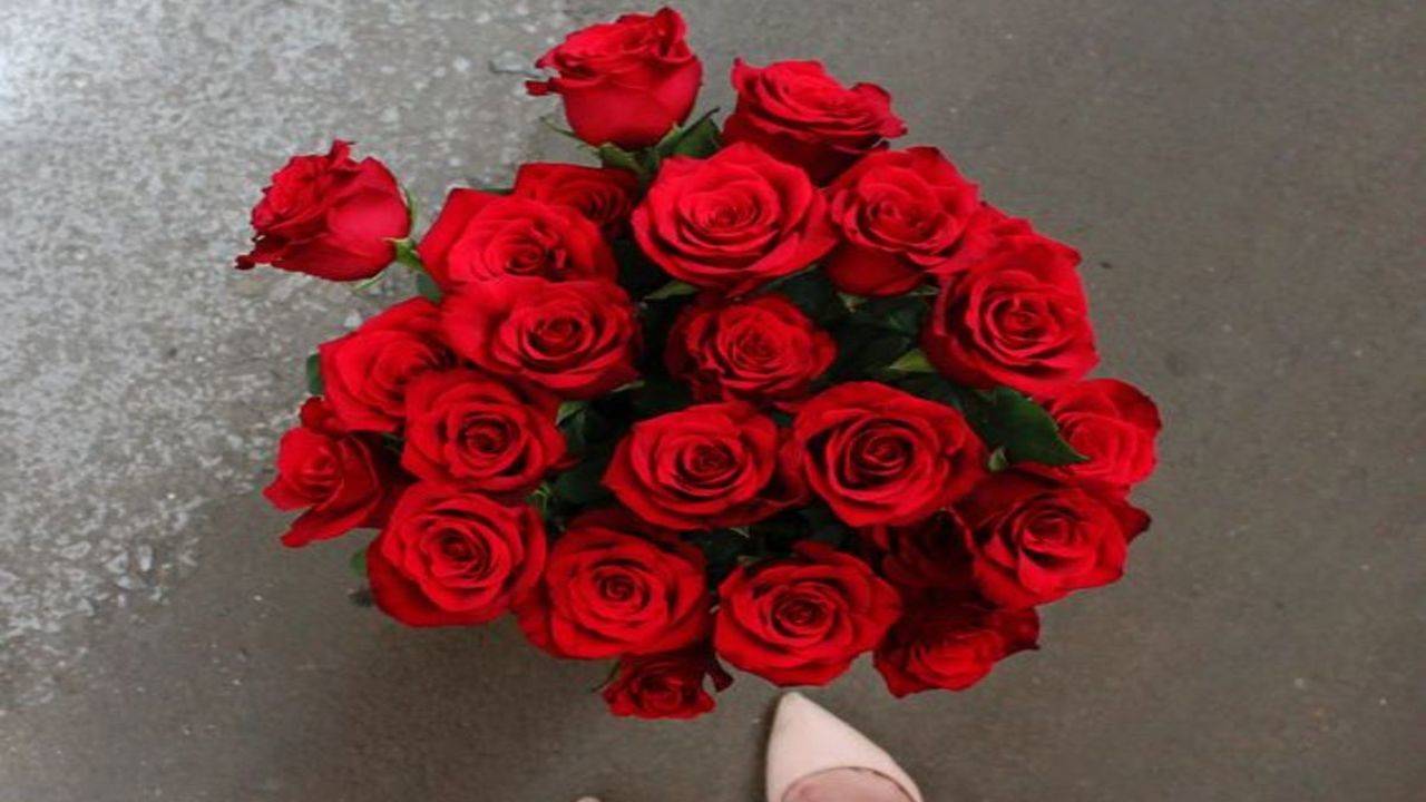 Rose Day Wishes in Marathi: तुमच्या जोडीदाराला द्या रोझ डे च्या या रोमँटिक  शुभेच्छा, पहा मराठी मेसेज, Whatsapp Status, HD Photos