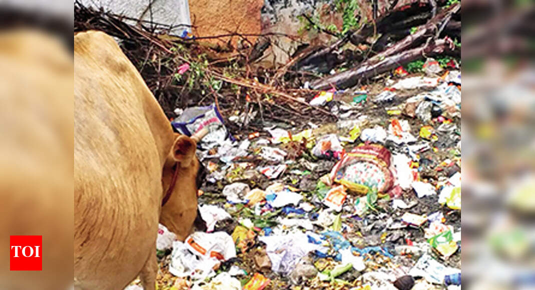 Pune 24x7 helpline for garbage disposal complaints soon Pune News Times of India