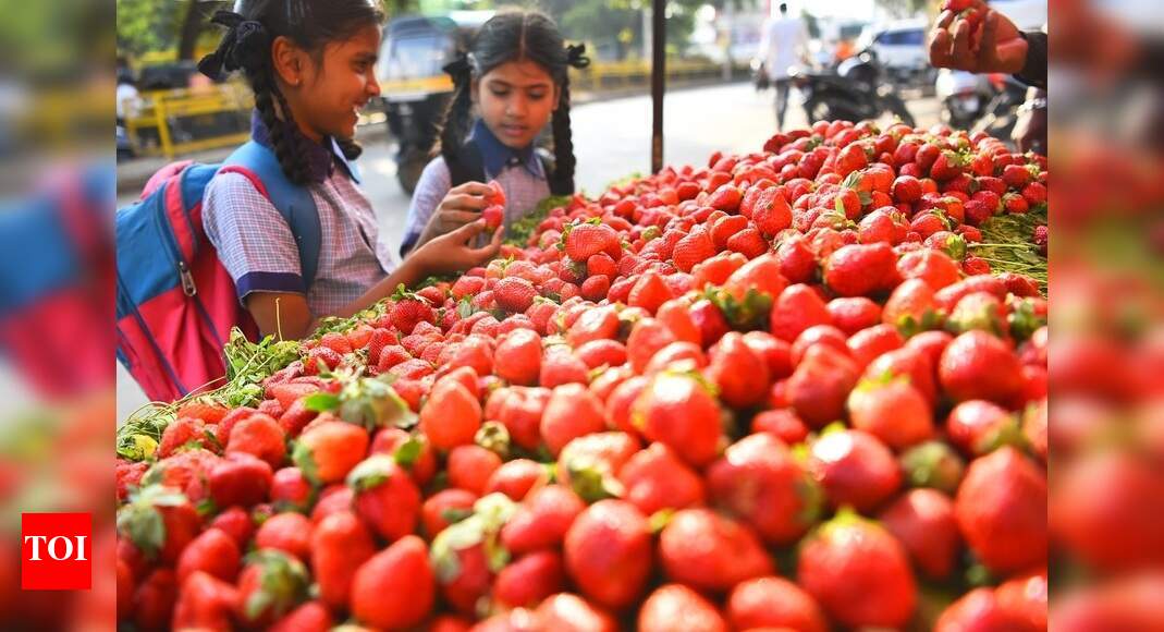 There’s a berry interesting story behind India’s strawberry success