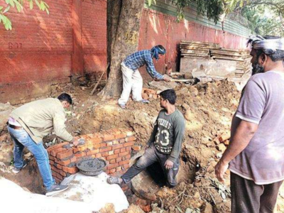 PWD told to save tree it ‘damaged’ in south Delhi