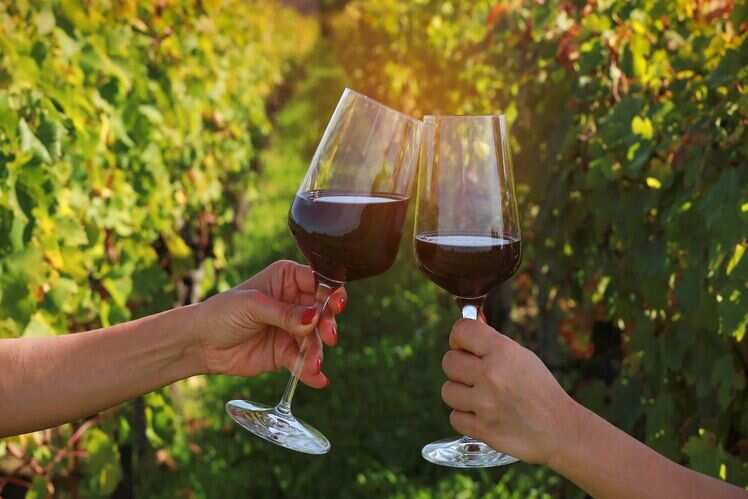 Vallonne Vineyards