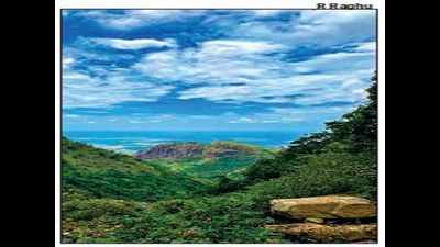 ‘Srivilliputhur-Megamalai as fifth tiger reserve will boost conservation efforts’
