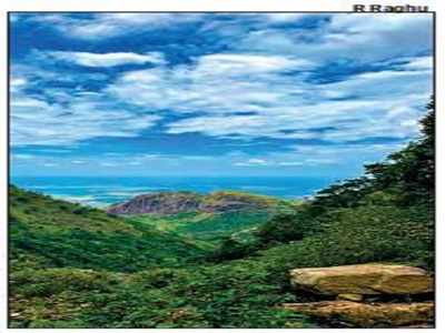 ‘Srivilliputhur-Megamalai as fifth tiger reserve will boost conservation efforts’
