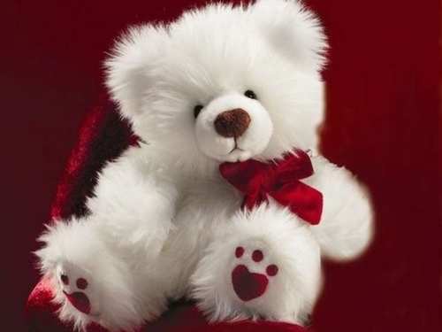 Teddy Bear Gifting: What Does Gifting A Teddy Bear Mean? – Goodlifebean