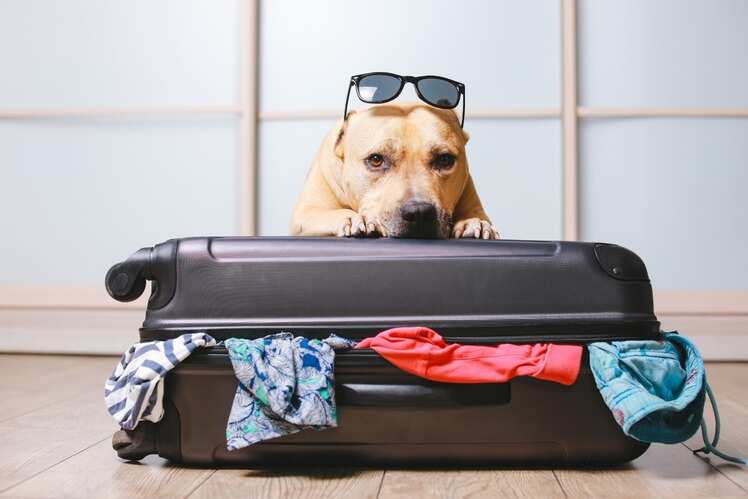 ​Packing cubes