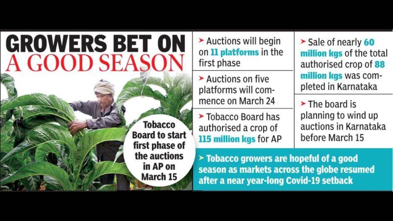 guntur tobacco board IAS Officer Vishwasree B Appointed as Executive Director of Tobacco Board, Guntur Tobacco auctions slated to start
