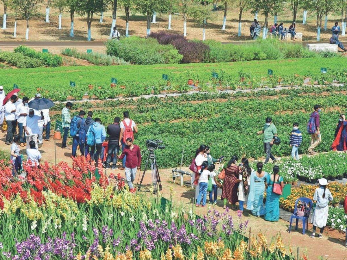 Bengaluru: App to connect farmers with buyers directly | Bengaluru News -  Times of India