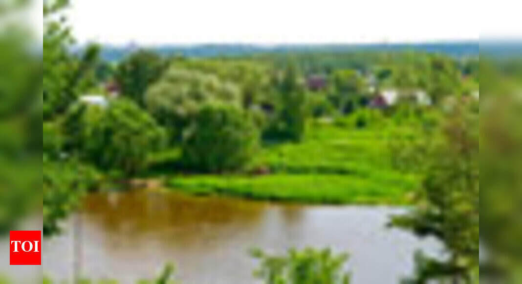 Kolad: Untouched and unexplored - Times of India