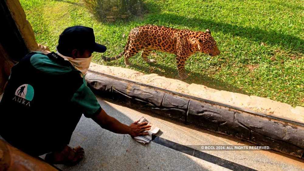 Mumbai zoo to reopen