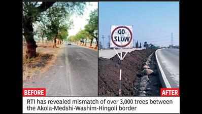 Road widening: Huge mismatch of trees in Akola-Washim section