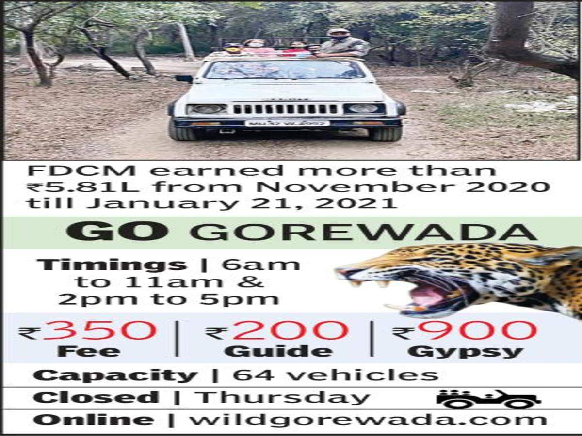 gorewada zoo safari charges