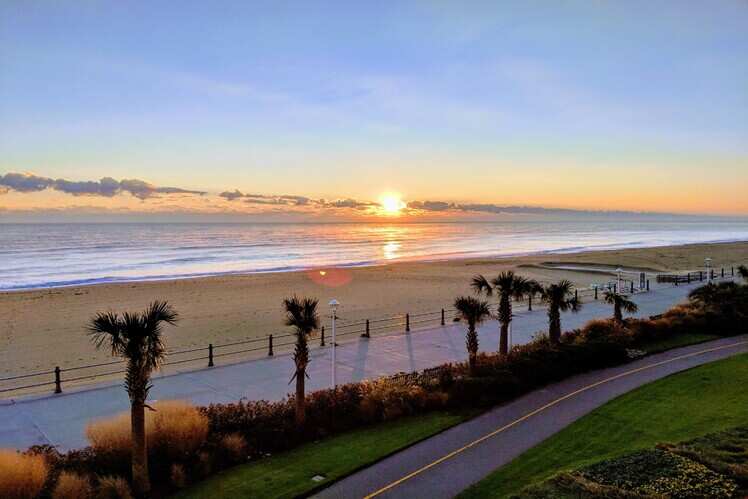Alexandria