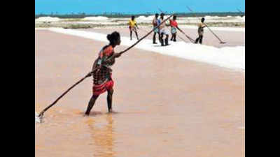 Heavy rain in January to cut salt production in Tamil Nadu by 10%