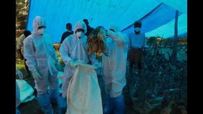 Bird flu epicentres now 52 in state as against 5 in 2006