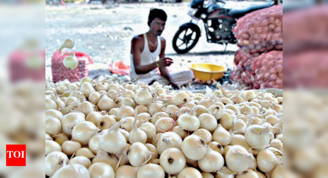 Gujarat Bumper onion crop to boost exports Ahmedabad News Times of