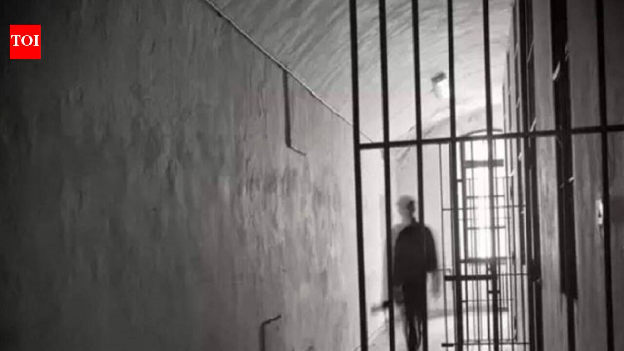 Indian fraudster sentenced to two years in prison - The Times of India