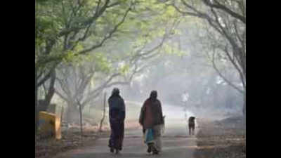 Rain in parts of Maharashtra on cards, Mumbai temperature to stay on lower side