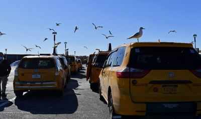 Pandemic threatens New York's iconic yellow taxis