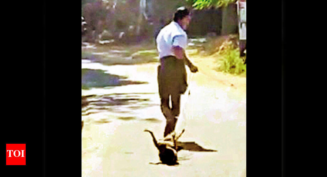 Man drags dog along road in Kerala, held | Kochi News - Times of India