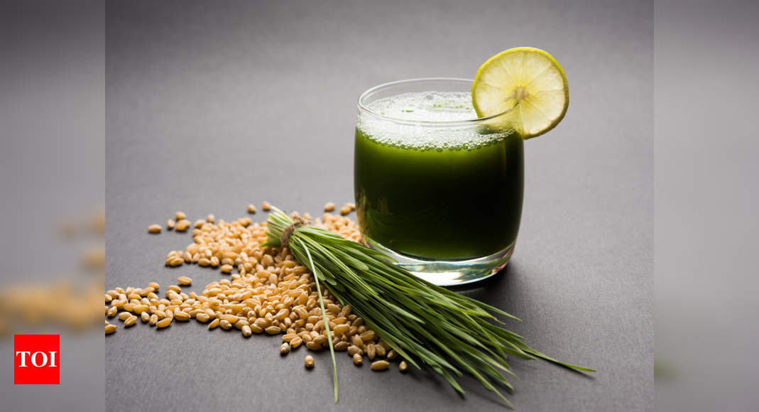 wheatgrass-benefits-nutrition-and-the-best-way-to-consume-times