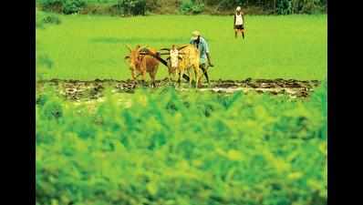 900 ryots to be trained in green farming techniques