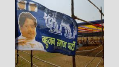 Nagpur: Bahujan Samaj Party rebel in fray for post of Ashi Nagar zone chairman