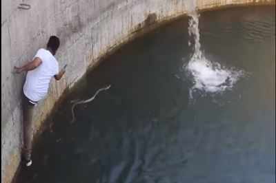 Man jumps into a well to save a snake & the internet is shook!