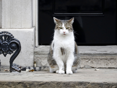 UK's chief mouser, Larry the cat, celebrates 10 years at 10 Downing Street