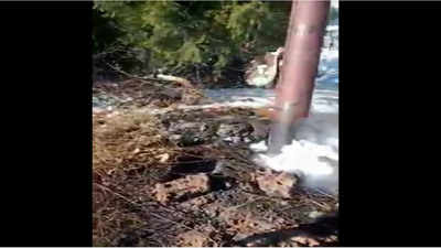 ‘Lava’ flows out of Kullu village in Himachal Pradesh, video goes viral