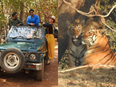 Actress Priya Marathe enjoys Tadoba Jungle Safari; shares ‘highlights’ of her trip