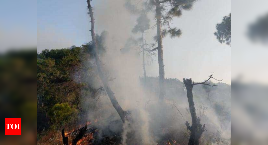 Uttarakhand Witnesses ‘winter Wildfires’ For The First Time; About 400 ...