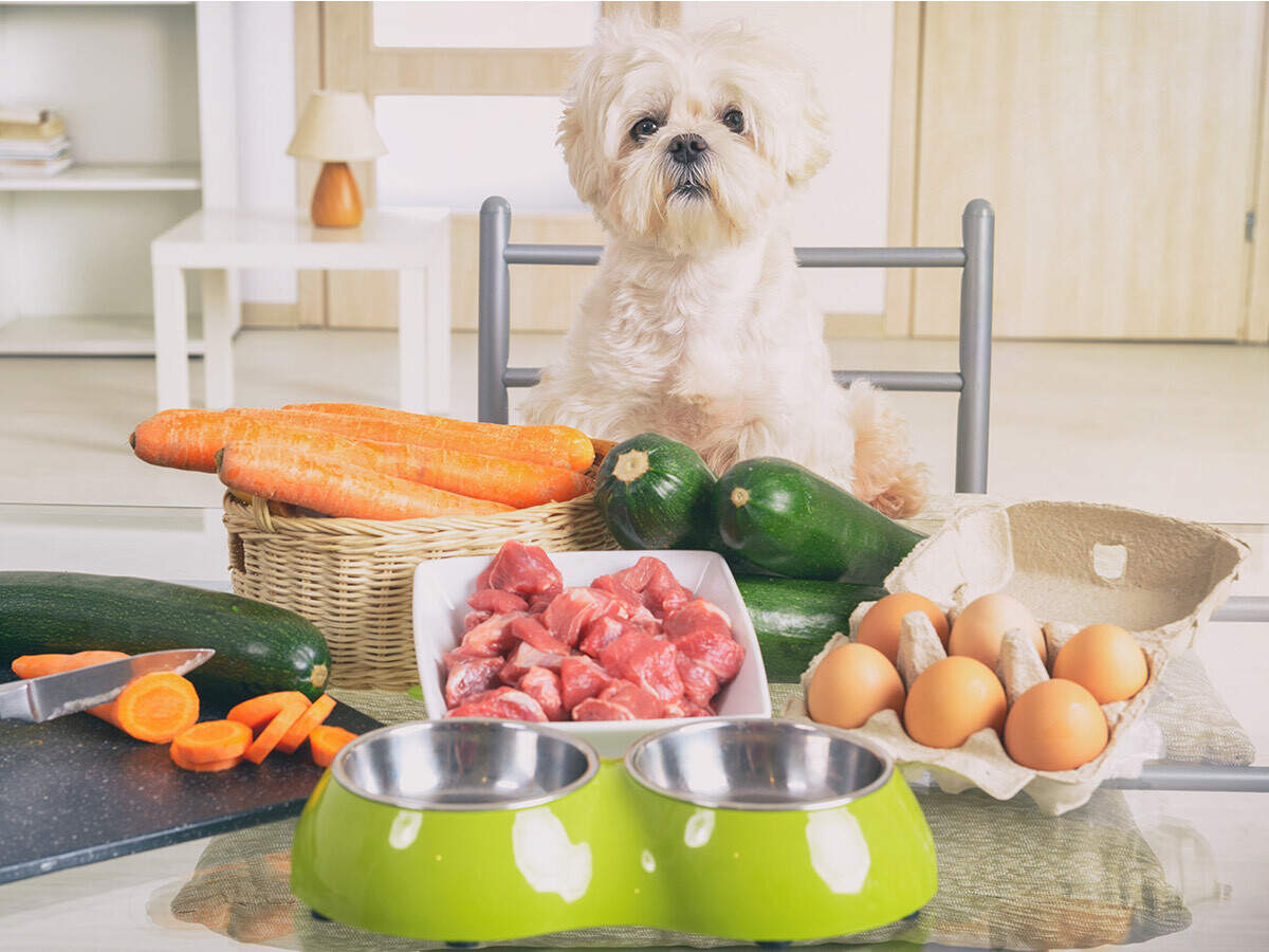 Image result for Choosing Food Verification