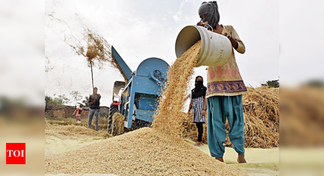 Bumper harvest in Jharkhand pushes govt paddy procurement target by 1 ...