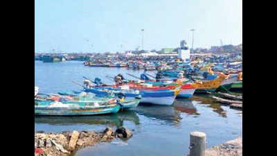 Chennai: High diesel prices halt trawlers, fish could cost more